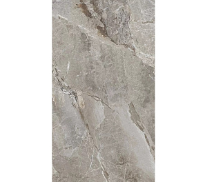 PR209 Керамогранит Essence Grey Polished 60*120 1,44 м2