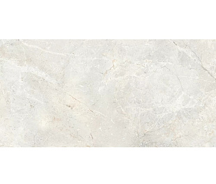 Augustus Pearl Rect. Natural 60x120 