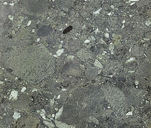 Ceppo Verde Rett 60х120