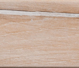 Плинтус Rodapie Forest Nogal 8*31,4