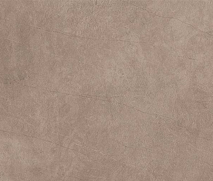 ASTER TAN FULLBODY CARVING 60x120x0,9 (1,44м/2шт)