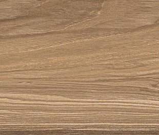 20x120 PAYTON WOOD MOKA MATT Керамогранит