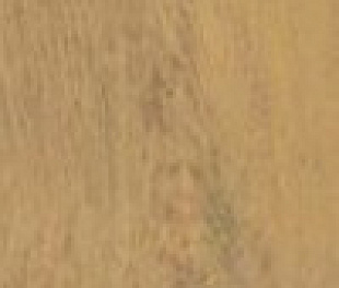 K947903R0001VTE0 CraftWood Медовый Матовый R10A Ректификат 20x120 10мм (46,08)