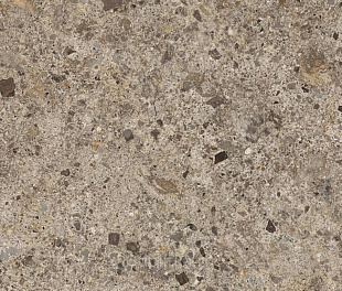 fTN7 Materia Eclettica Tortora Matt R9 80x80