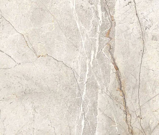 Плитка из керамогранита Mystone Silver Root 60x120 бежевый (MPFM)