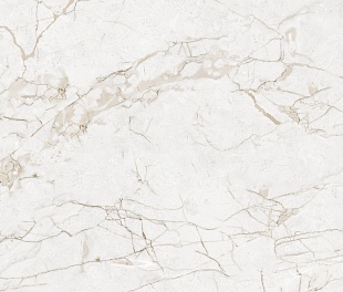 NTT99519M Impero Grey Carving 60x120