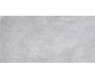 NR211 Керамогранит Nemo Light grey 60*120