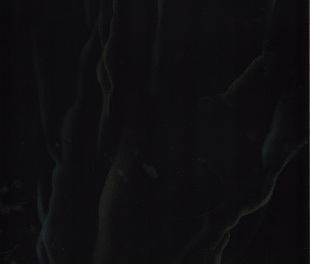 Леванто чёрная Плитка настенная 06-01-04-180 20х30 (Питер)