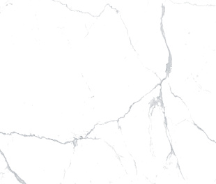 Statuario Fond Satin 60x60