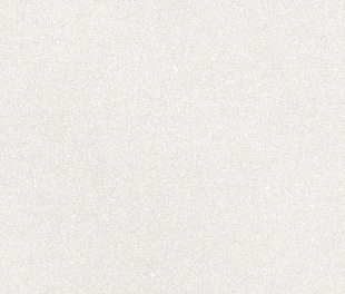 CAPRICE WHITE RECT 60X120