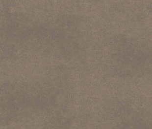 CA04 60x120x9 Непол.Рект. (Керамический гранит)