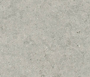 610010004168 Форум Стоун Сильвер 60X120