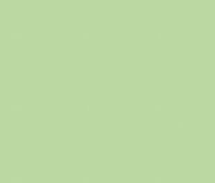 2I0N КерГранит GREENCOLORS MENTA 20x20 см
