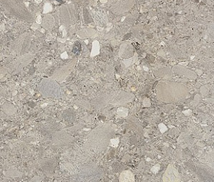 Ceppo Grigio Rett 60х120