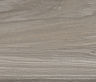 20x120 PAYTON WOOD GREY MATT Керамогранит