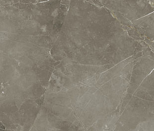 Плитка из керамогранита Italon Стелларис 60x120 серый (610015000681)