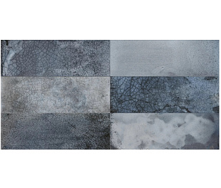 28939 FS RAKU BLUE
