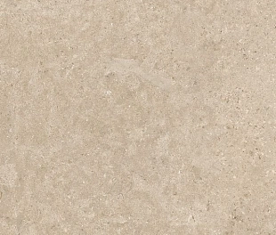 Alba Stone Greige Rect 100х100