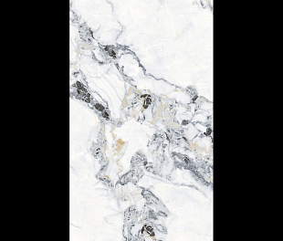 Calakatta Gold PXF 484