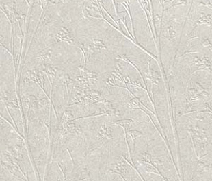 Divine White Rect 60x120
