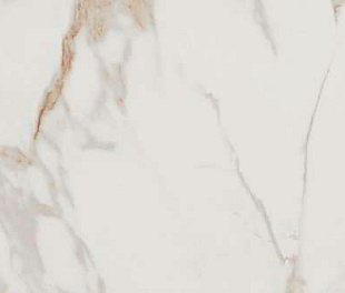 fQCR Roma Gold Calacatta Oro Brill. 50x120 RT