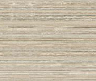 SIGNUM6 278RM 120x278
