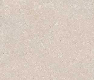 CORAL CALIZA L 80X80(A)