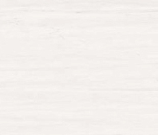 AZOR Плитка MARVEL STONE BIANCO DOLOMITE 50х110 см ВЫВОД