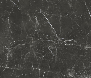 Fox Graphite Pulido 120*120