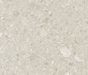 Rect Beige 60*120