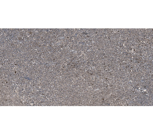 TP3625B Плитка настенная Алькон 30*60см серый 1,8м2