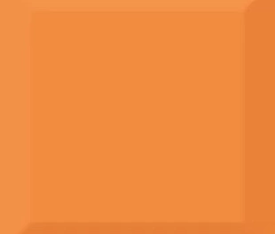 Biselado Brillo Naranja 10x10