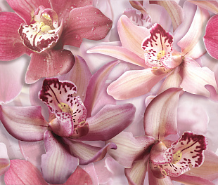 Porto Flowers "Orchid lila" Панно 50x60 (2пл)