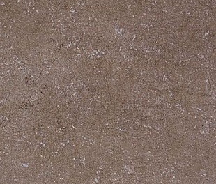 Плитка из керамогранита Kerama Marazzi Дайсен 30X60 коричневый (SG211400R)