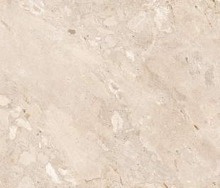 Element Castona Tan 60х120