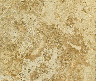 GOLDEN 45.3x45.3 / Instone/ Edimax