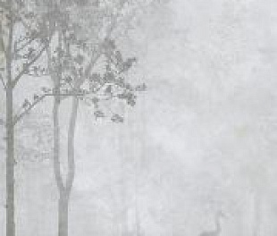 73801 EMERALD FOREST A MATT 120x240