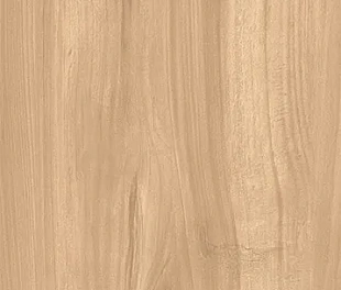 FOSSIL WOOD BRICH