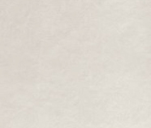 fOXG Bloom White 80x160 RT