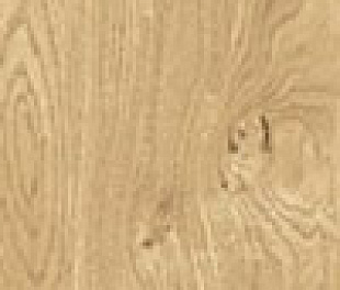 fTJK Plein Air Gold Matt R9 20x180 RT