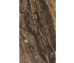 GR204 Керамогранит Richter brown High glossy 60*120см 1,44м2