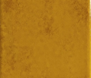 Genuine Amber 10x10 