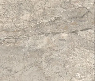 Плитка ANIMA FUTURA AMAZING SILVER 60X120 LISCIO MATT