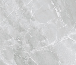 PR152 Керамогранит Almond Light Grey Polished 60*60см 1,44м2