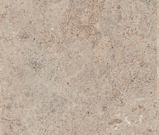 LITHOTEKE LIMESTONE HONED RT 60X120