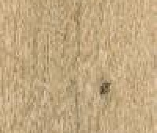 Плитка из керамогранита матовая Meissen Grandwood Natural 19.8x179.8 бежевый (O-GWN-GGU014)