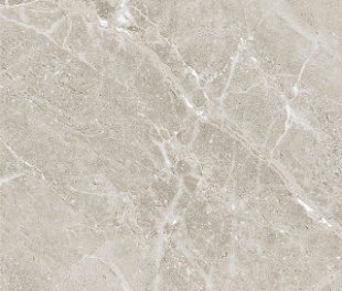 Colemanite Stone Grey Rect 60x120