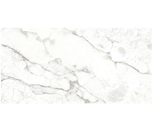 Breccia Bianco 60х120