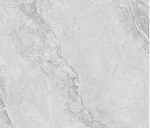 230101 Light Grey Polished 60x120