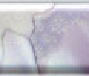 7*58 Cenefa Reality Lila бордюр настенный